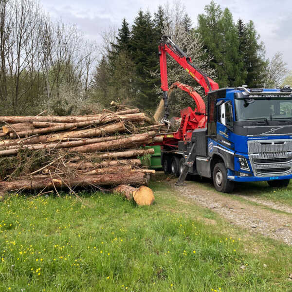 Forstarbeiten 08